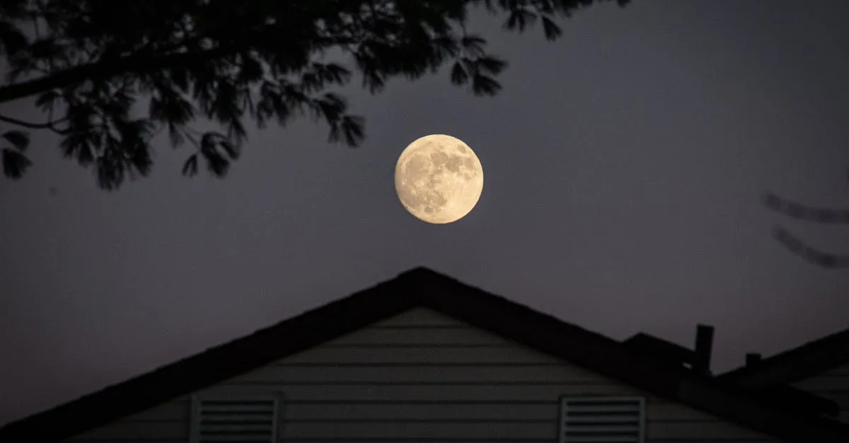 Pierre de lune : guide pratique pour la choisir, la purifier et l'utiliser en méditation