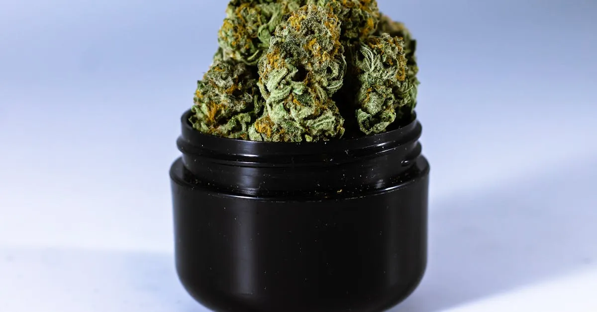 Vertue pierre de lune : usages, prix et rituels pour la méditation